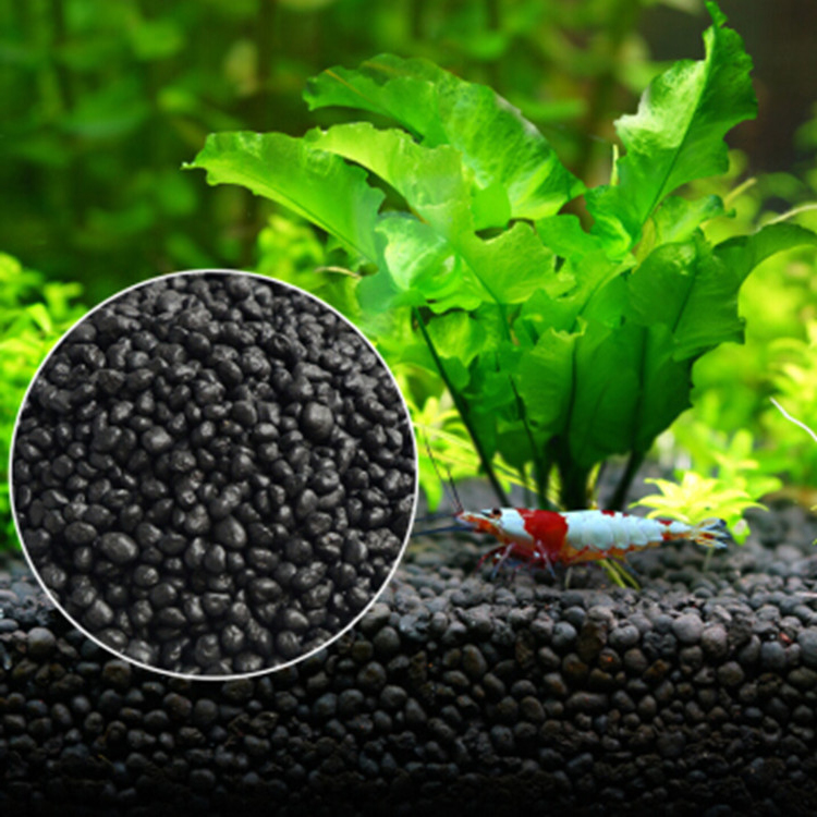 Aquarium Plants Book - نباتات أحواض السمك ، التربة ،