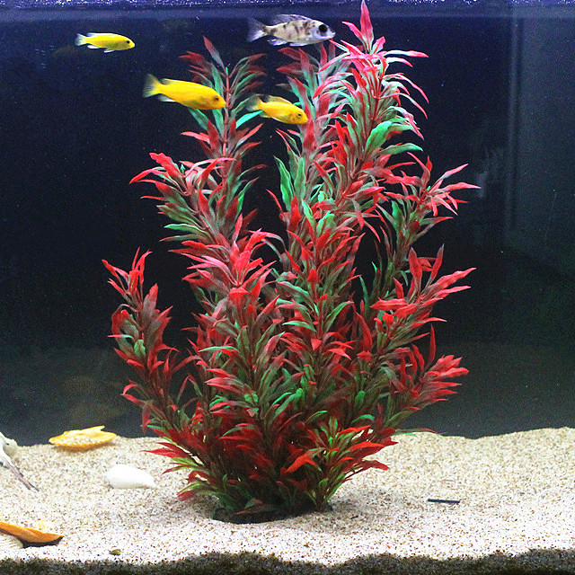Aquarium Plants Book - نباتات اصطناعية نادرة لأحواض السمك بطول