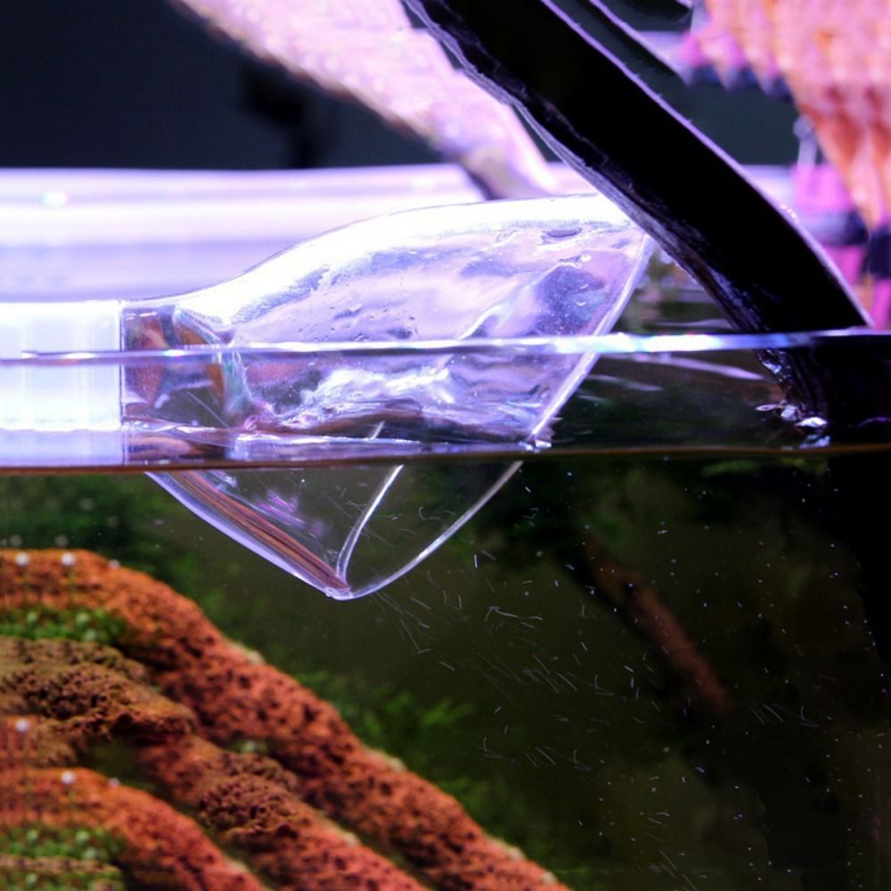 12/16/22 مللي متر نبات المياه  - مراجعة Aquarium Plants Book وسعره