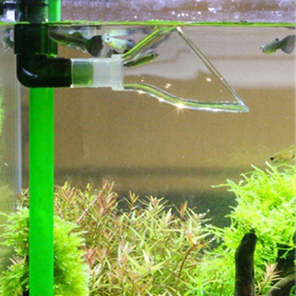 12/16/22 مللي متر نبات المياه  - مراجعة Aquarium Plants Book وسعره
