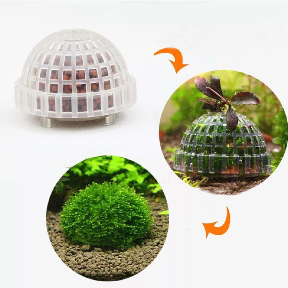 1 قطعة حوض السمك حاملي كرات ال - مراجعة Planted Aquarium Models وسعره