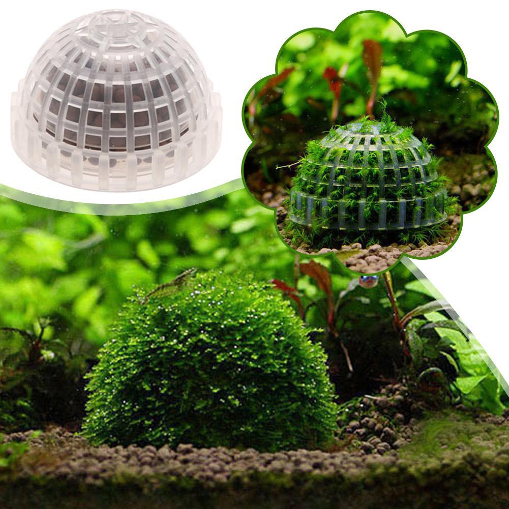1 قطعة حوض السمك حاملي كرات ال - مراجعة Planted Aquarium Models وسعره
