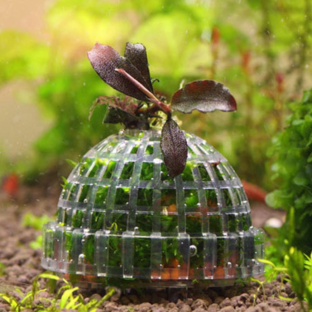 1 قطعة حوض السمك حاملي كرات ال - مراجعة Planted Aquarium Models وسعره