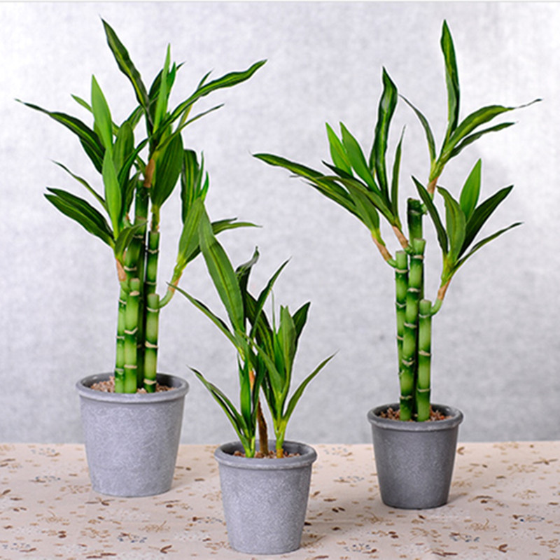 جديد 40 سنتيمتر rFtificial محظ - مراجعة Aquarium Plants Book وسعره