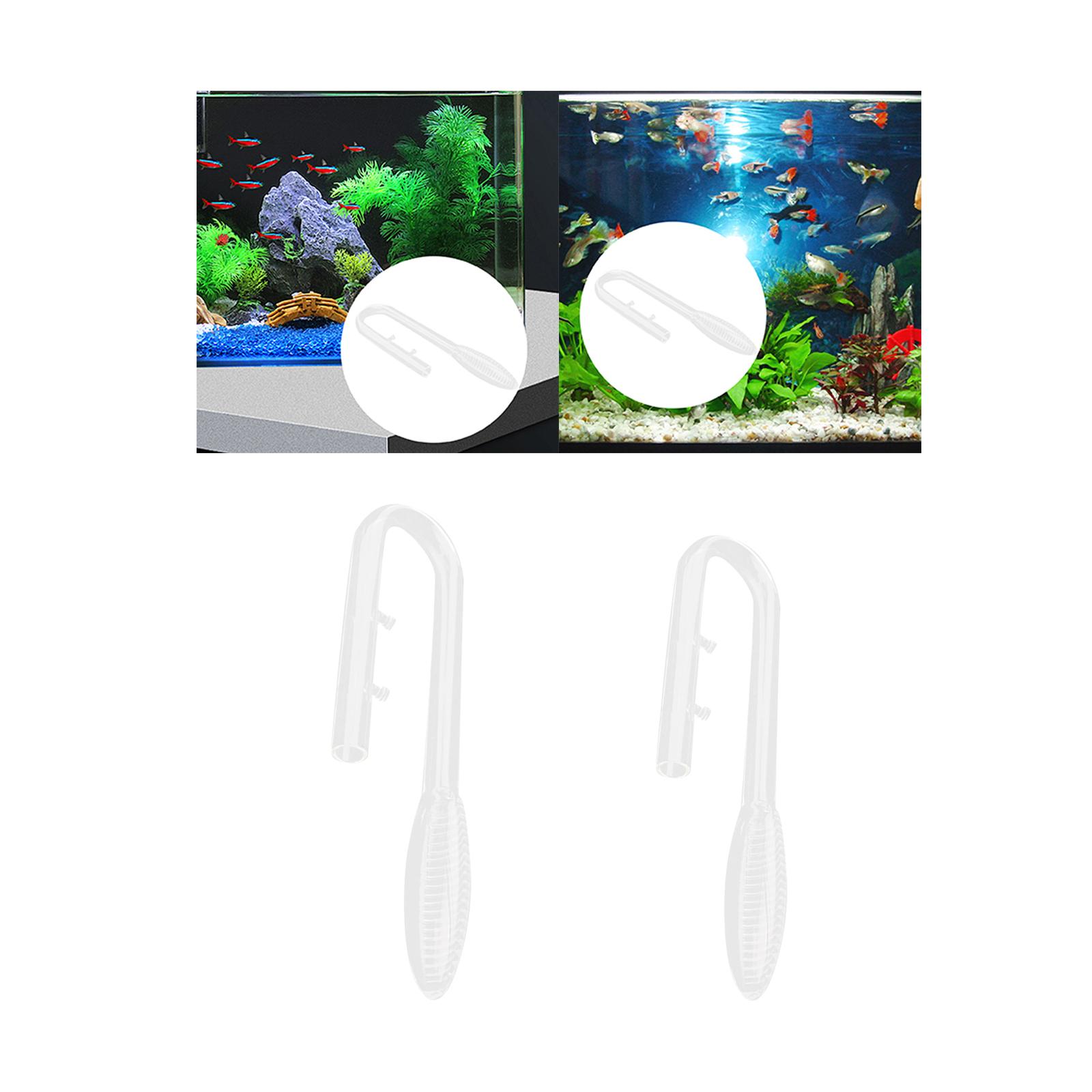 أنبوب تدفق الزجاج البنفسجي أنب - مراجعة Aquarium Plant Violet وسعره
