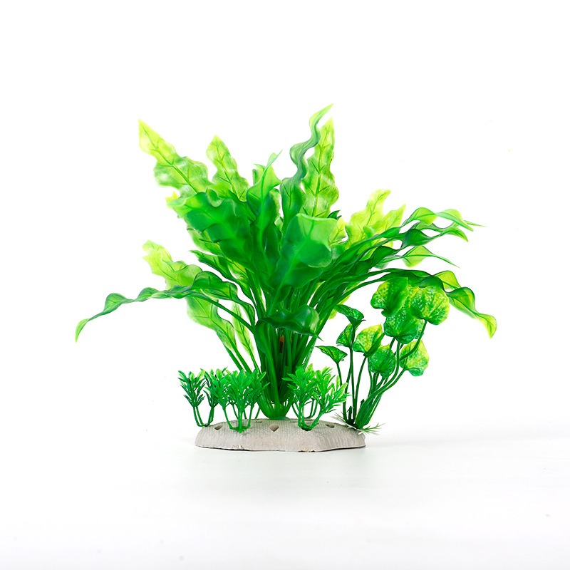 نباتات مائية اصطناعية لتزيين أ - مراجعة Planted Aquarium Models وسعره