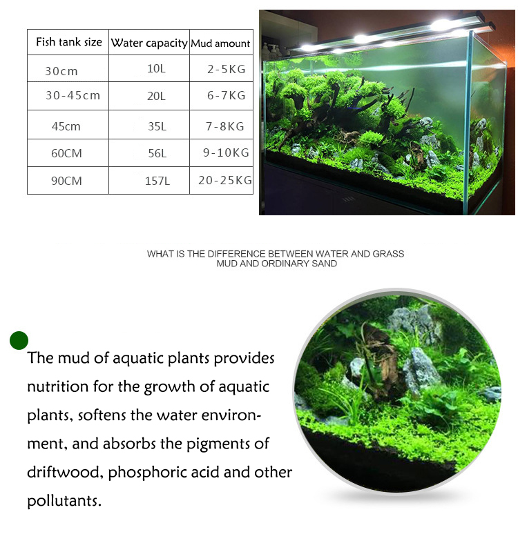 نباتات أحواض السمك ، التربة ،  - مراجعة Aquarium Plants Book وسعره