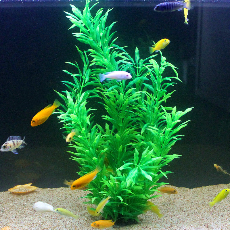 نباتات اصطناعية نادرة لأحواض ا - مراجعة Aquarium Plants Book وسعره