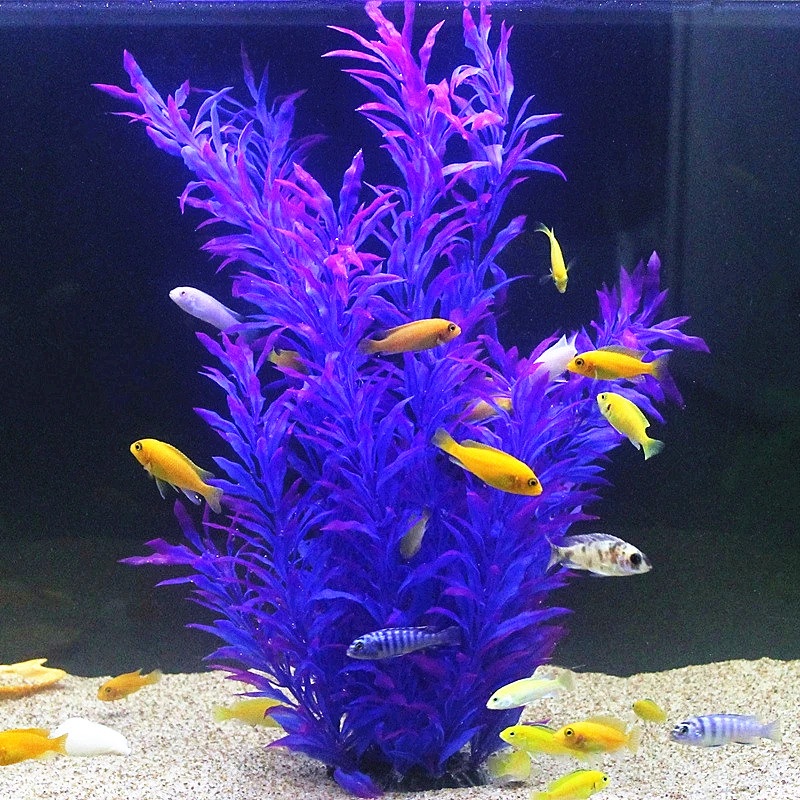 نباتات اصطناعية نادرة لأحواض ا - مراجعة Aquarium Plants Book وسعره