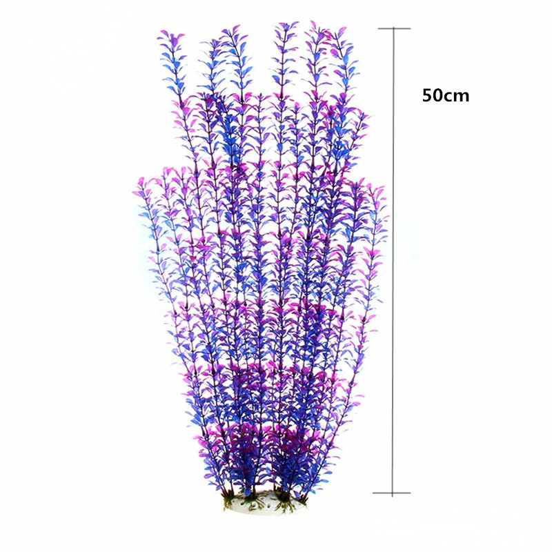 نباتات اصطناعية نادرة لأحواض ا - مراجعة Aquarium Plants Book وسعره