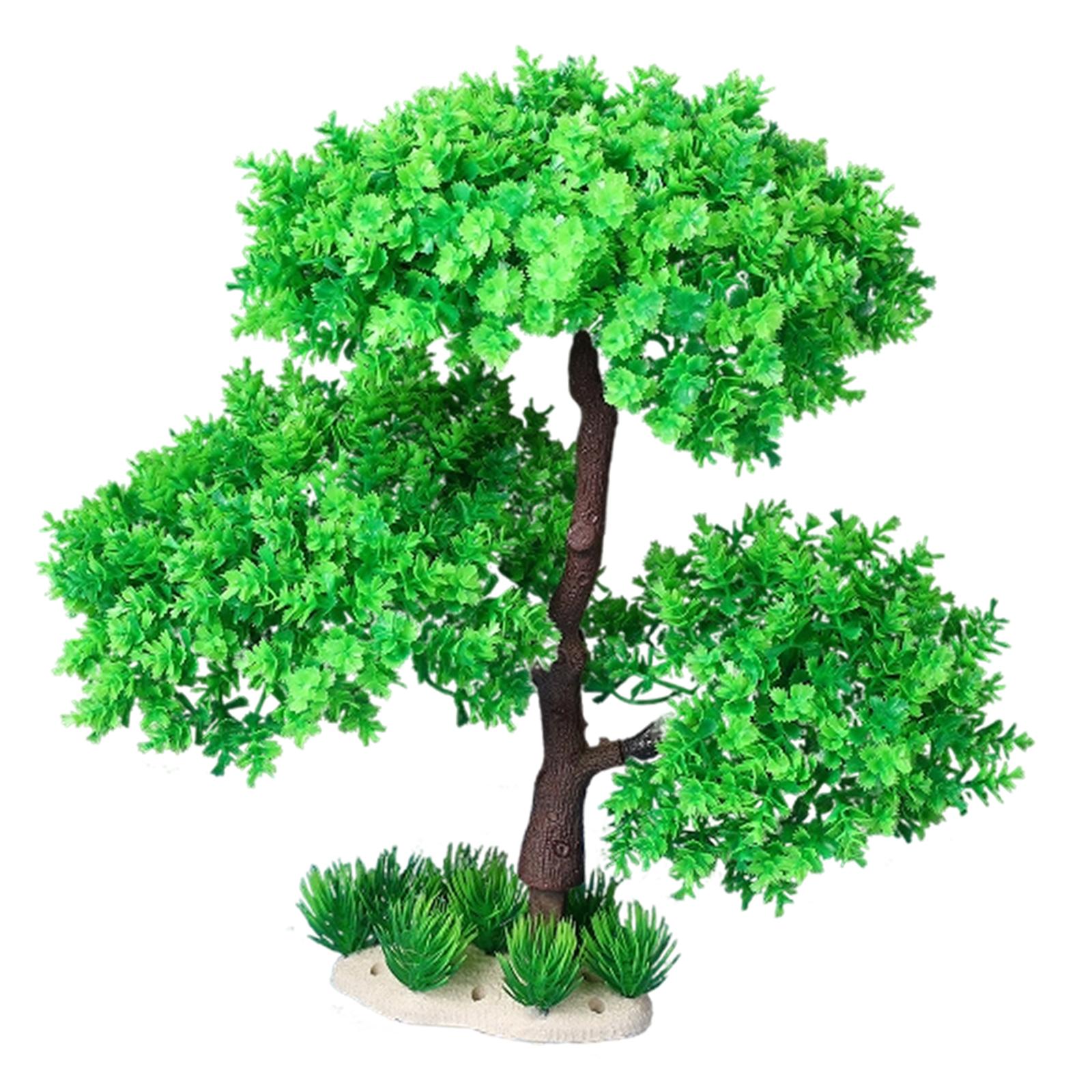 نباتات حوض السمك للمياه العذبة - مراجعة Planted Aquarium Models وسعره