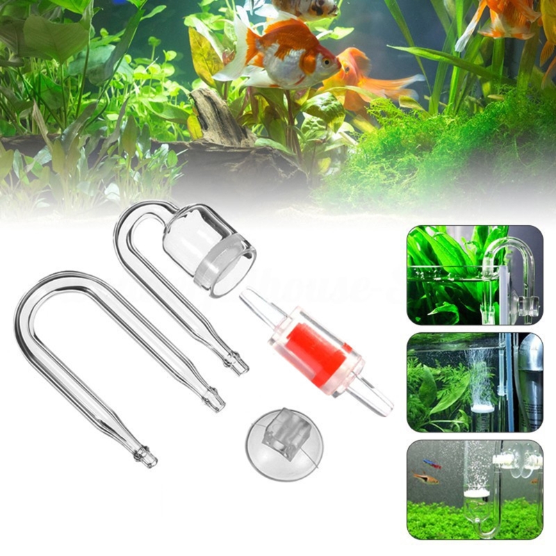 ناشر CO2 لحوض السمك ، خزان زجا - مراجعة Aquarium Plants Book وسعره