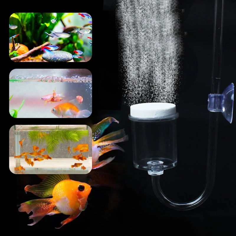 ناشر CO2 لحوض السمك ، خزان زجا - مراجعة Aquarium Plants Book وسعره