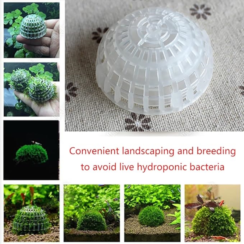 2 قطعة حامل كرة الطحلب لحوض ال - مراجعة Planted Aquarium Models وسعره