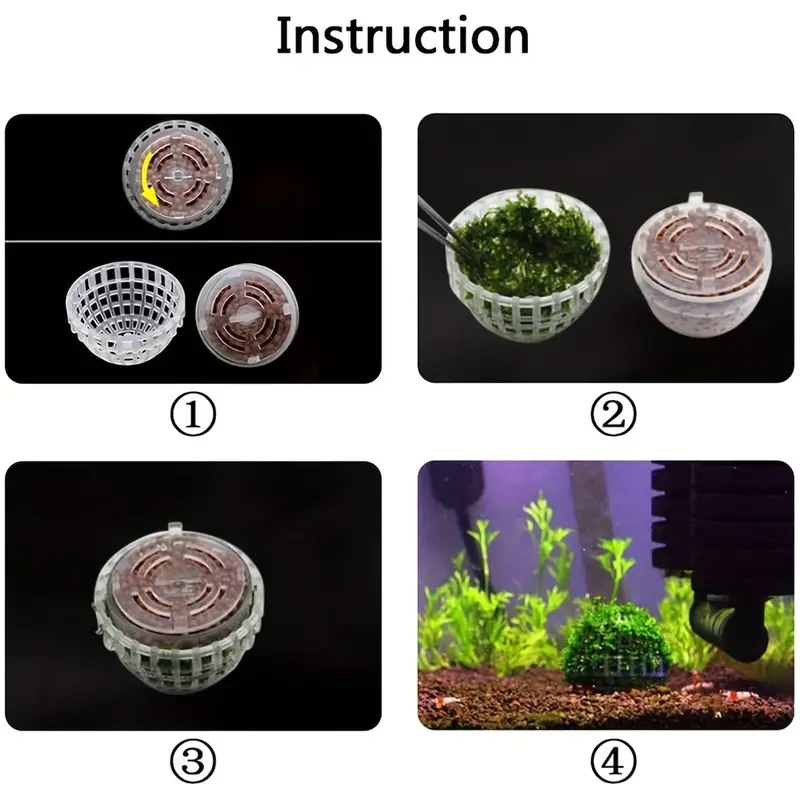 2 قطعة حامل كرة الطحلب لحوض ال - مراجعة Planted Aquarium Models وسعره